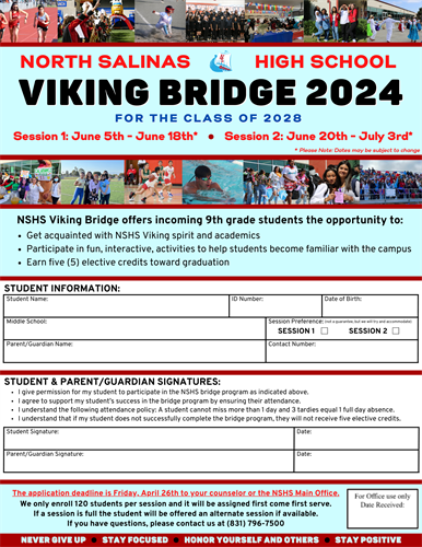 Viking Bridge 2024 Application - English